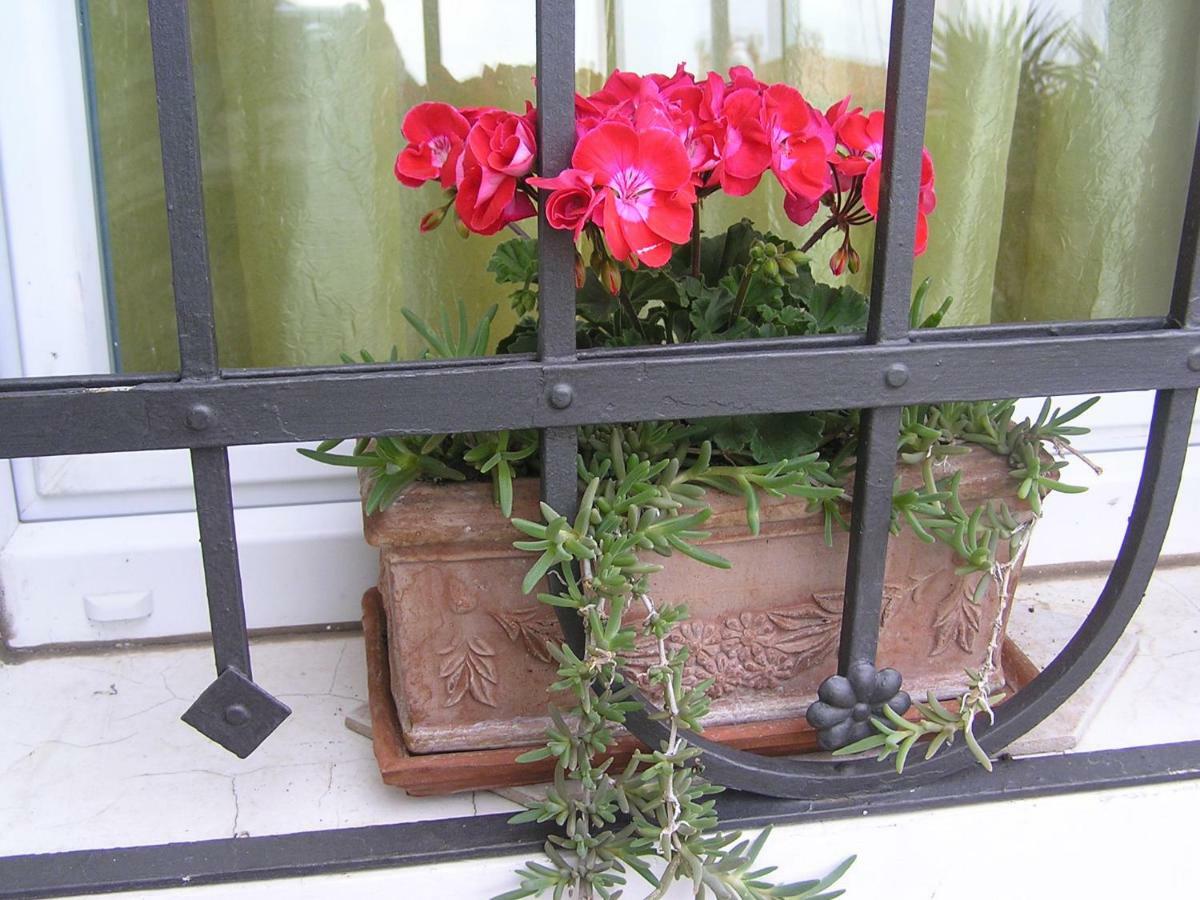 Apartman Pelcic,With Wifi And Free Parking กอสเตรนา ภายนอก รูปภาพ